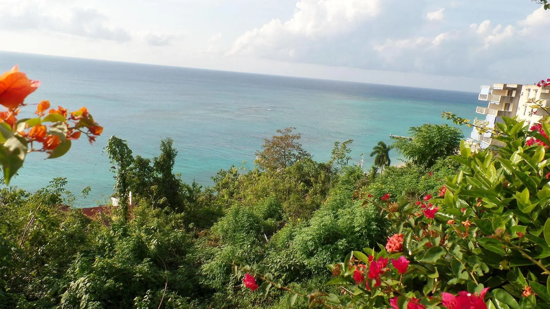 Court Manor At Montego Bay Club Διαμέρισμα Τζαμάικα